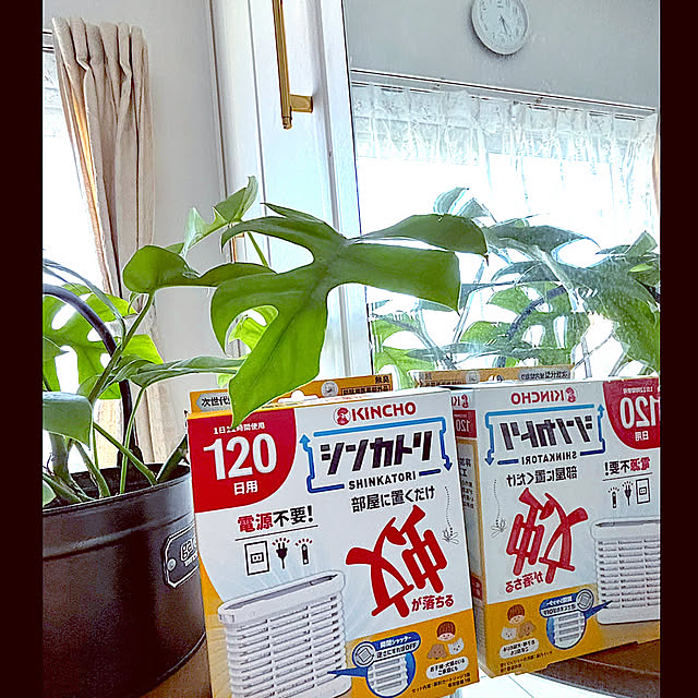 syutmmさんの実例写真