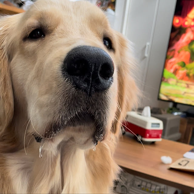 marinkoさんの実例写真