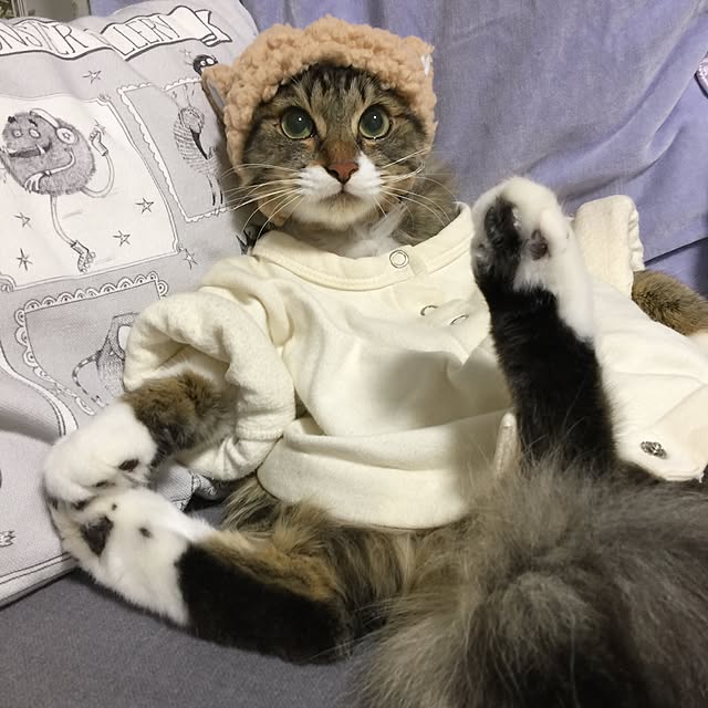 yuchiさんの実例写真