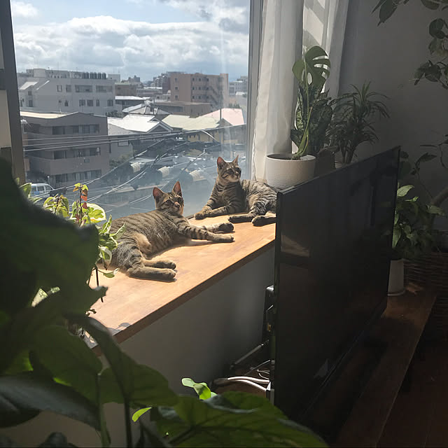 sakkiy37さんの実例写真