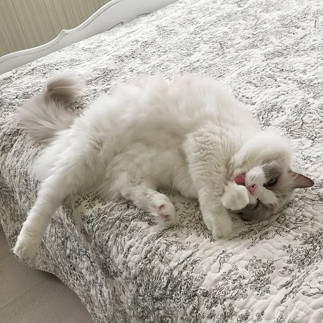 yuchiさんの実例写真