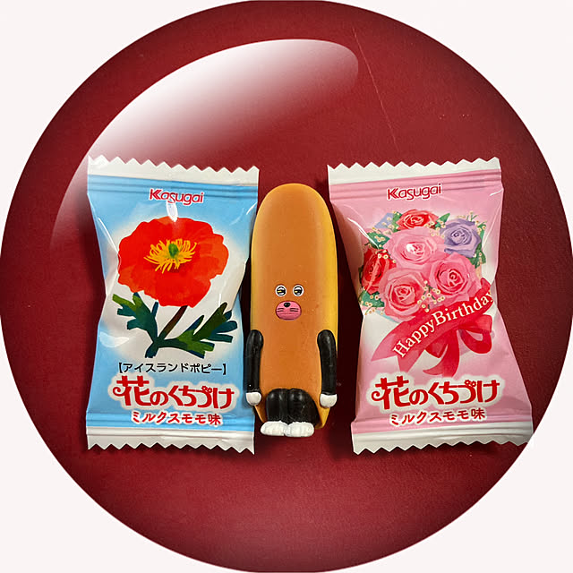 manduonmaさんの部屋