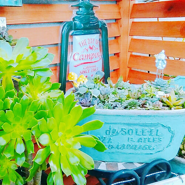hana4504さんの実例写真