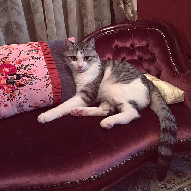 emmyyさんの実例写真