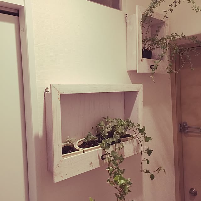 komaさんの実例写真