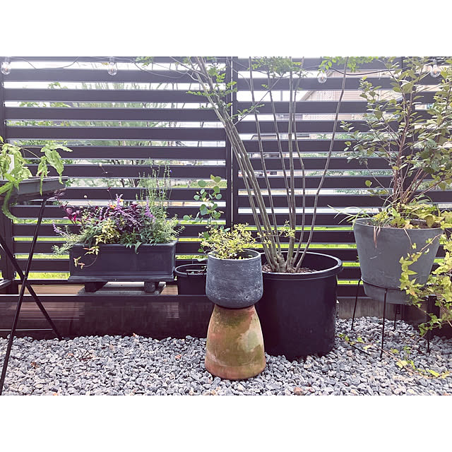 charuさんの実例写真