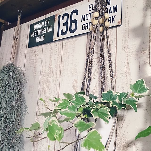 miporin0711さんの実例写真