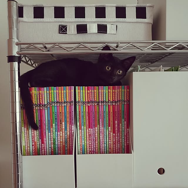 sakuraさんの部屋