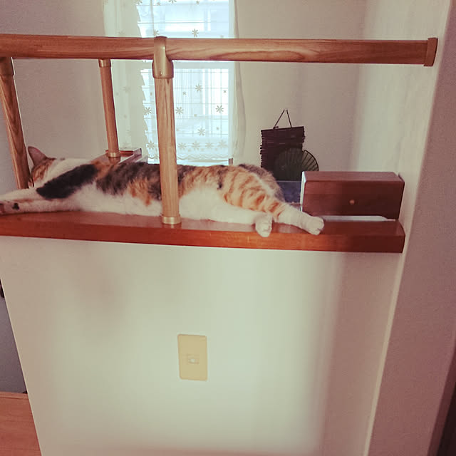akiさんの実例写真
