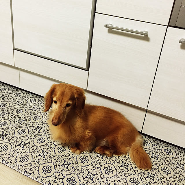 Kyoko.さんの実例写真