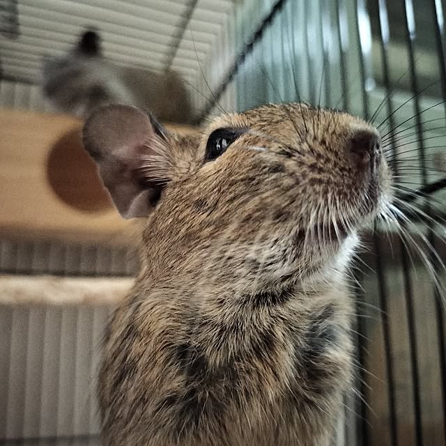 minmiさんの部屋