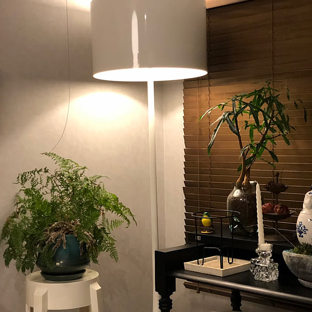 観葉植物/照明/机のインテリア実例 - 2019-06-16 23:59:29