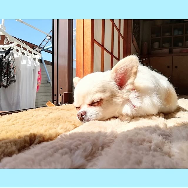 runaさんの実例写真