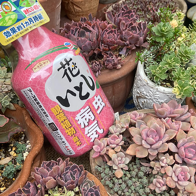 na-chanさんの部屋