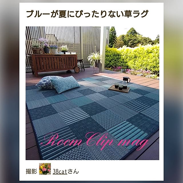 38catさんの実例写真