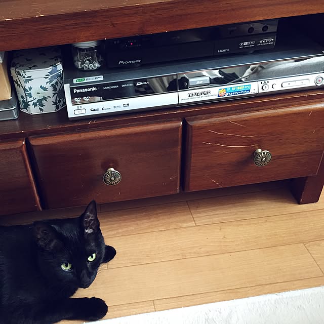 toufuさんの実例写真