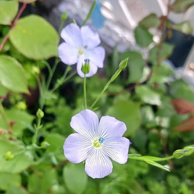 aiさんの部屋