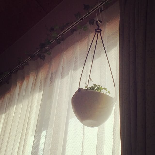 壁/天井/植物のインテリア実例 - 2015-02-25 11:15:35