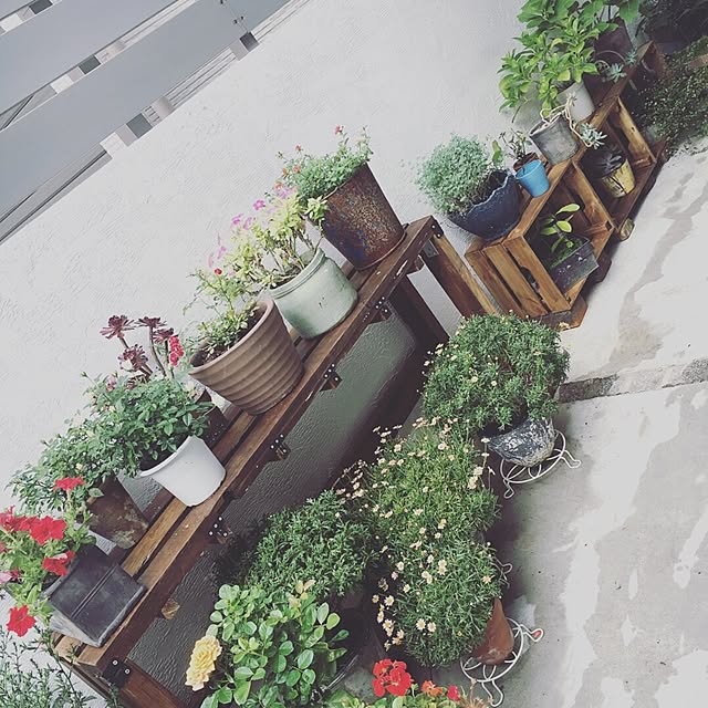 cocco0505さんの実例写真