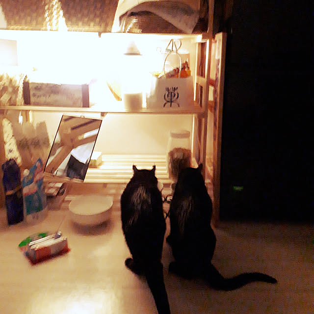 Natさんの実例写真