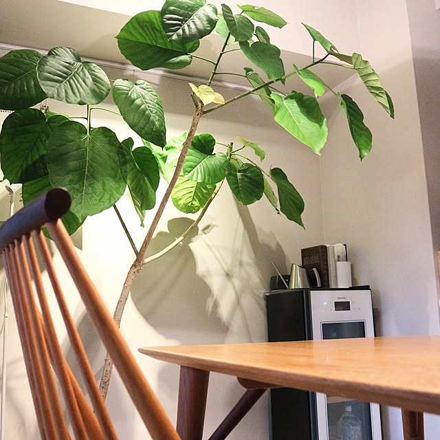 hanacocoさんの部屋