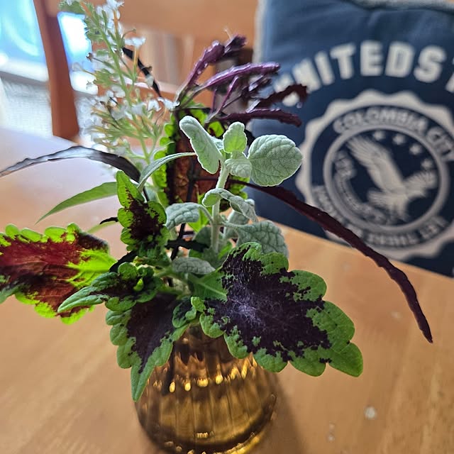 min_nimさんの部屋
