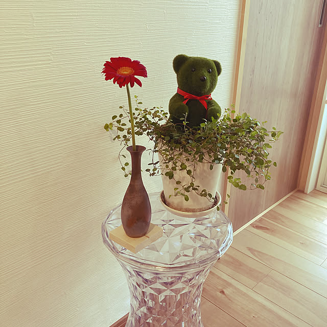 shinさんの実例写真