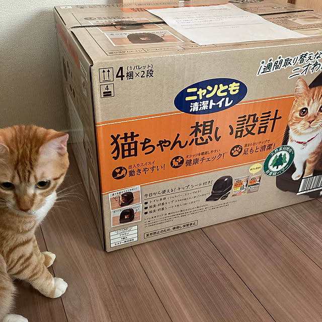 abebiさんの実例写真