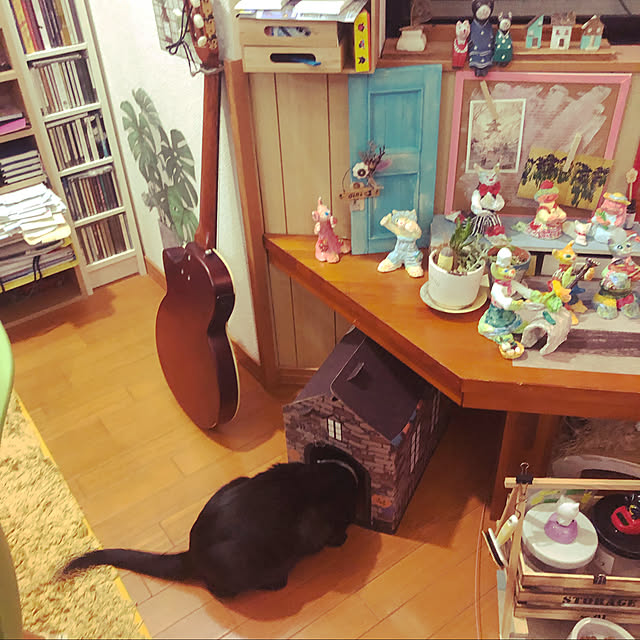 jijiさんの実例写真
