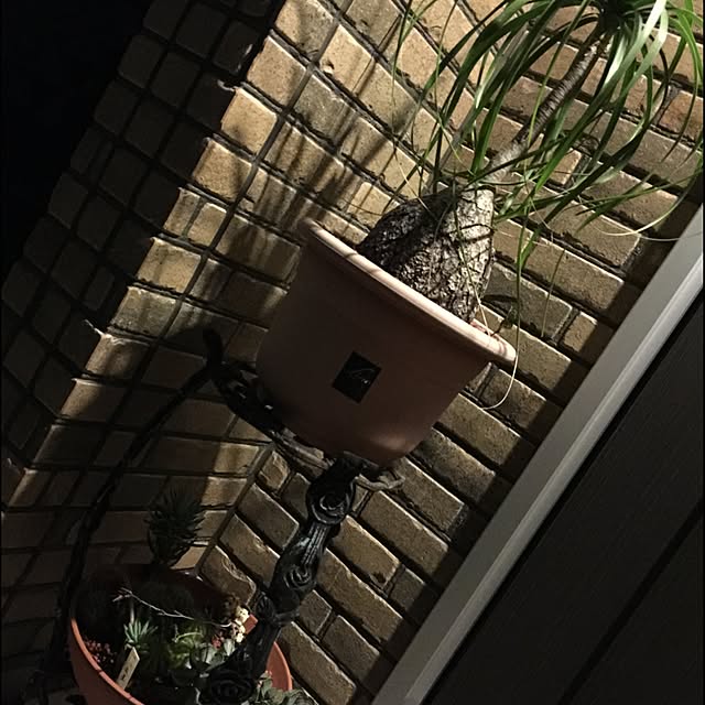NaoKさんの実例写真