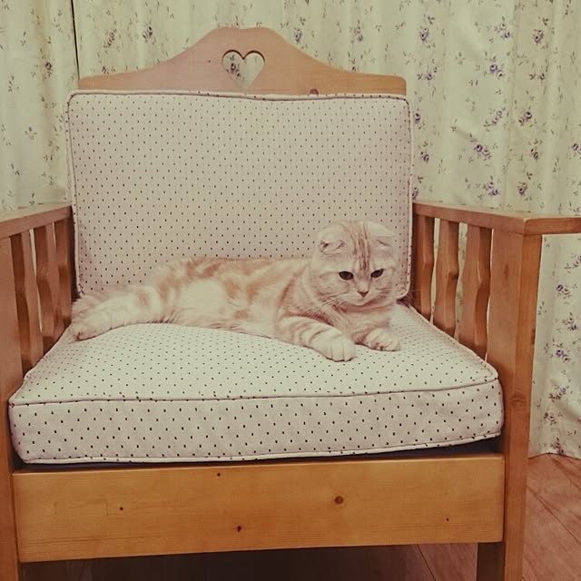 hanahanaさんの実例写真