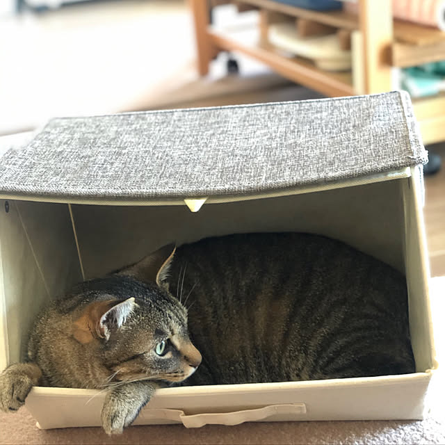 mikomaruさんの実例写真