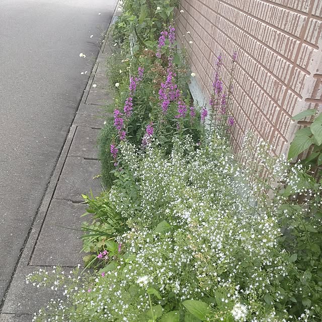 Hujikoさんの部屋