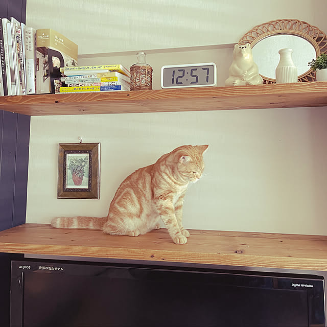 tocotoco22さんの実例写真