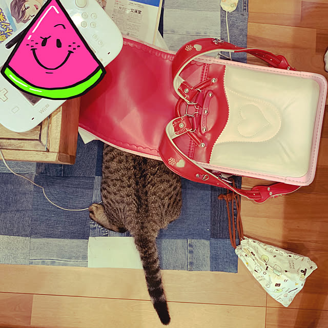 okome-chanさんの実例写真
