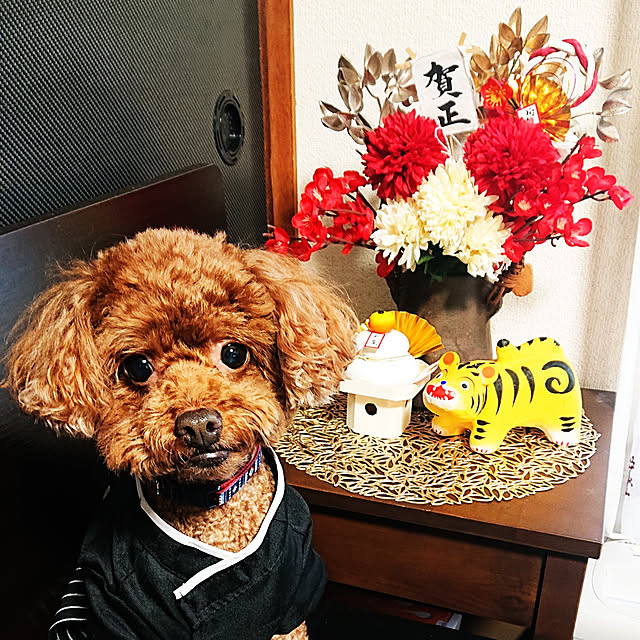 momohanamamaさんの実例写真