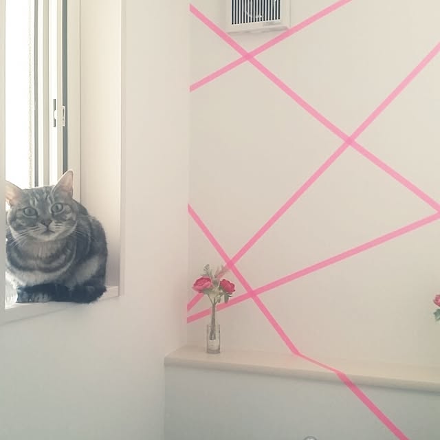 runayucoさんの実例写真