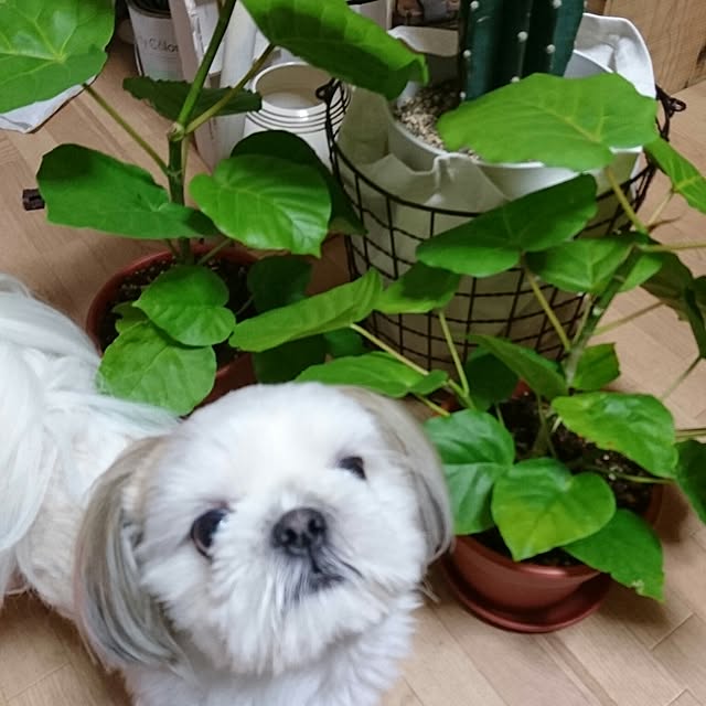 Reiさんの実例写真