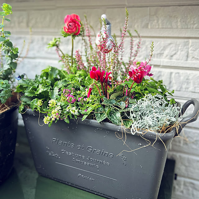 nanさんの実例写真