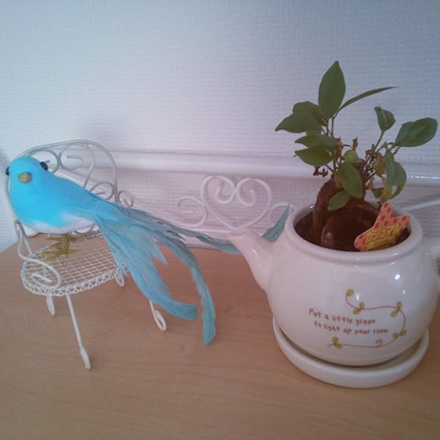 arikoさんの実例写真