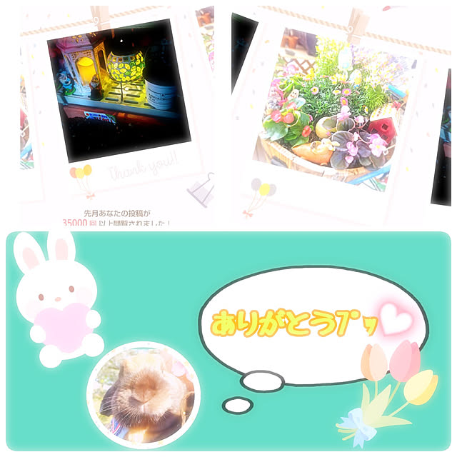 mariaさんの実例写真
