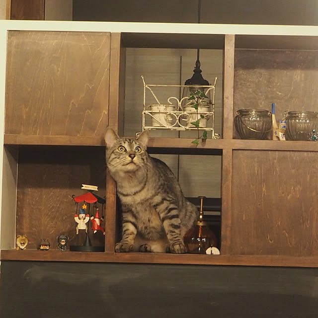 Haruさんの実例写真