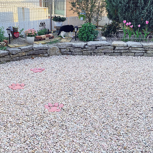 moolさんの部屋