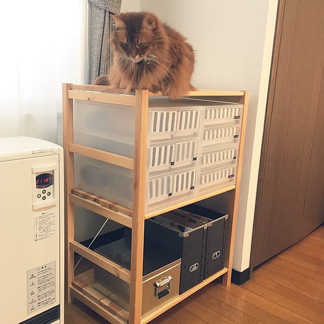 yukinoさんの実例写真