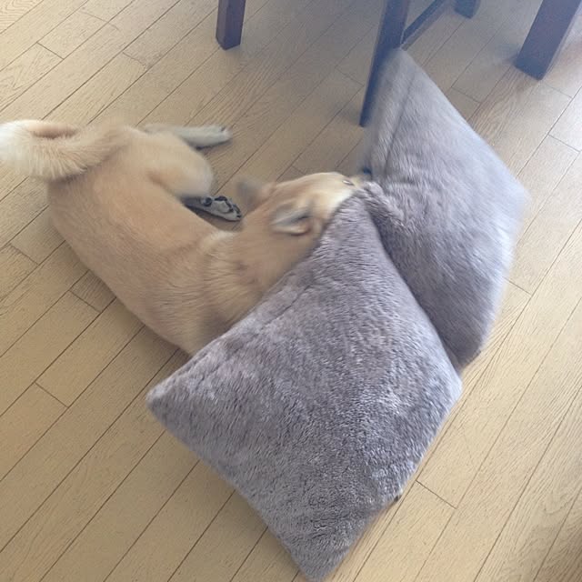 leonaさんの実例写真