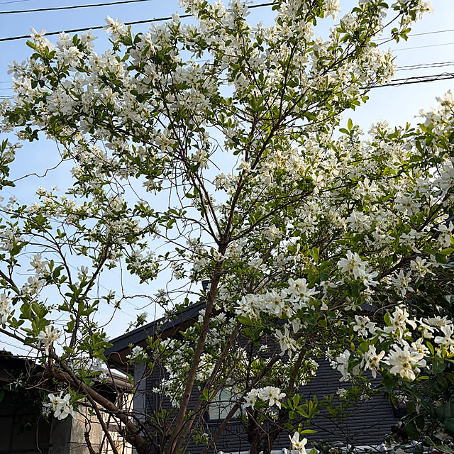 mozukuさんの実例写真