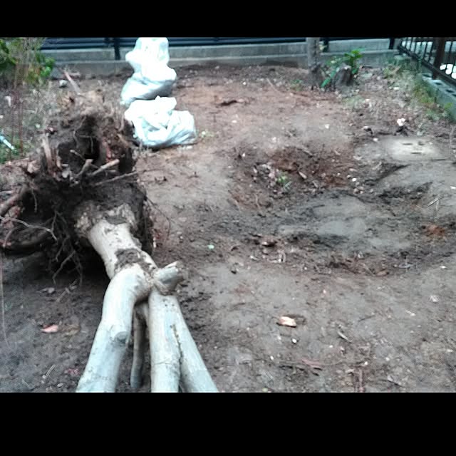 monmoさんの実例写真