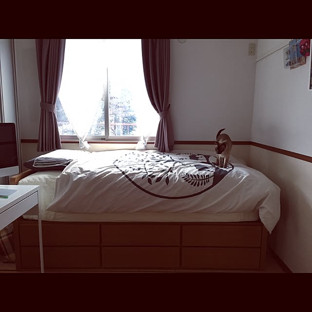monkeymajimajikさんの実例写真