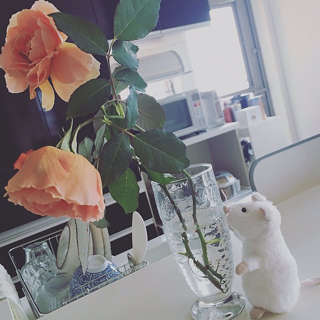 halubieさんの実例写真