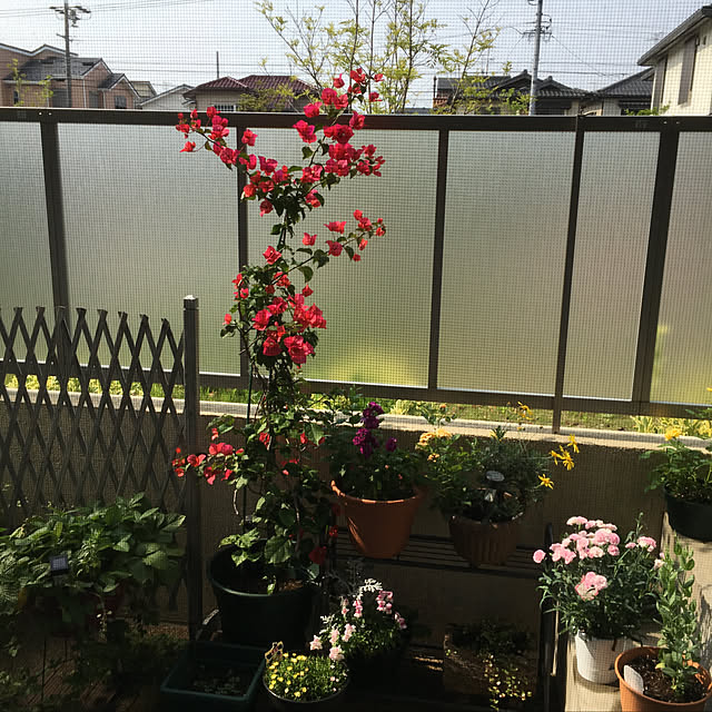norikaGさんの実例写真